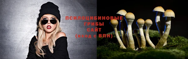круглые Вязьма