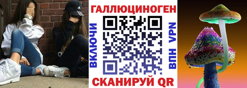 Галлюциногенные грибы Magic Shrooms  где найти   Ельня 
